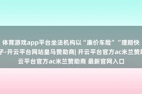 体育游戏app平台坐法机构以“廉价车险”“理赔快”“审核松”为幌子-开云平台网站皇马赞助商| 开云平台官方ac米兰赞助商 最新官网入口