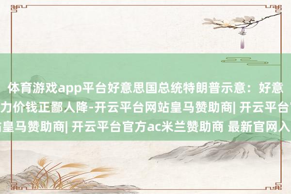 体育游戏app平台好意思国总统特朗普示意：好意思国经济莫得问题 动力价钱正鄙人降-开云平台网站皇马赞助商| 开云平台官方ac米兰赞助商 最新官网入口