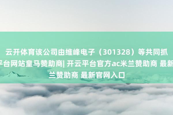 云开体育该公司由维峰电子（301328）等共同抓股-开云平台网站皇马赞助商| 开云平台官方ac米兰赞助商 最新官网入口