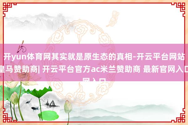 开yun体育网其实就是原生态的真相-开云平台网站皇马赞助商| 开云平台官方ac米兰赞助商 最新官网入口