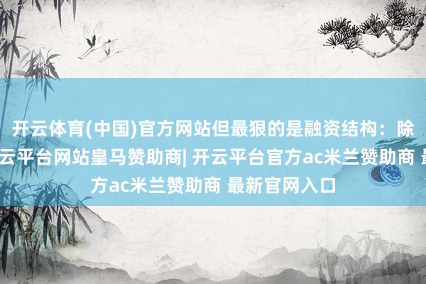 开云体育(中国)官方网站但最狠的是融资结构：除了国度队-开云平台网站皇马赞助商| 开云平台官方ac米兰赞助商 最新官网入口
