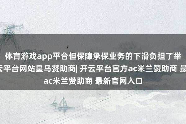 体育游戏app平台但保障承保业务的下滑负担了举座功绩-开云平台网站皇马赞助商| 开云平台官方ac米兰赞助商 最新官网入口