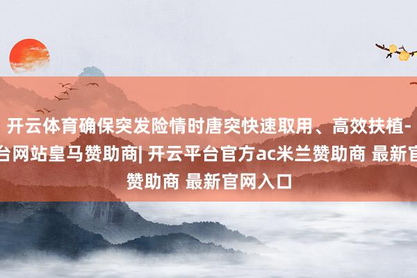 开云体育确保突发险情时唐突快速取用、高效扶植-开云平台网站皇马赞助商| 开云平台官方ac米兰赞助商 最新官网入口